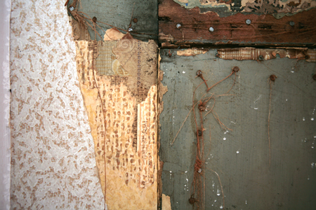 wp7fd8152e.png